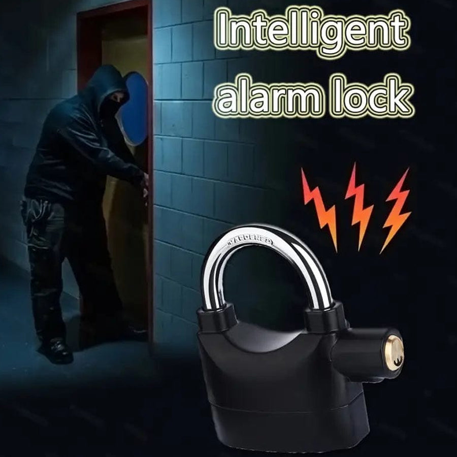 Anti Theft Alarm Lock